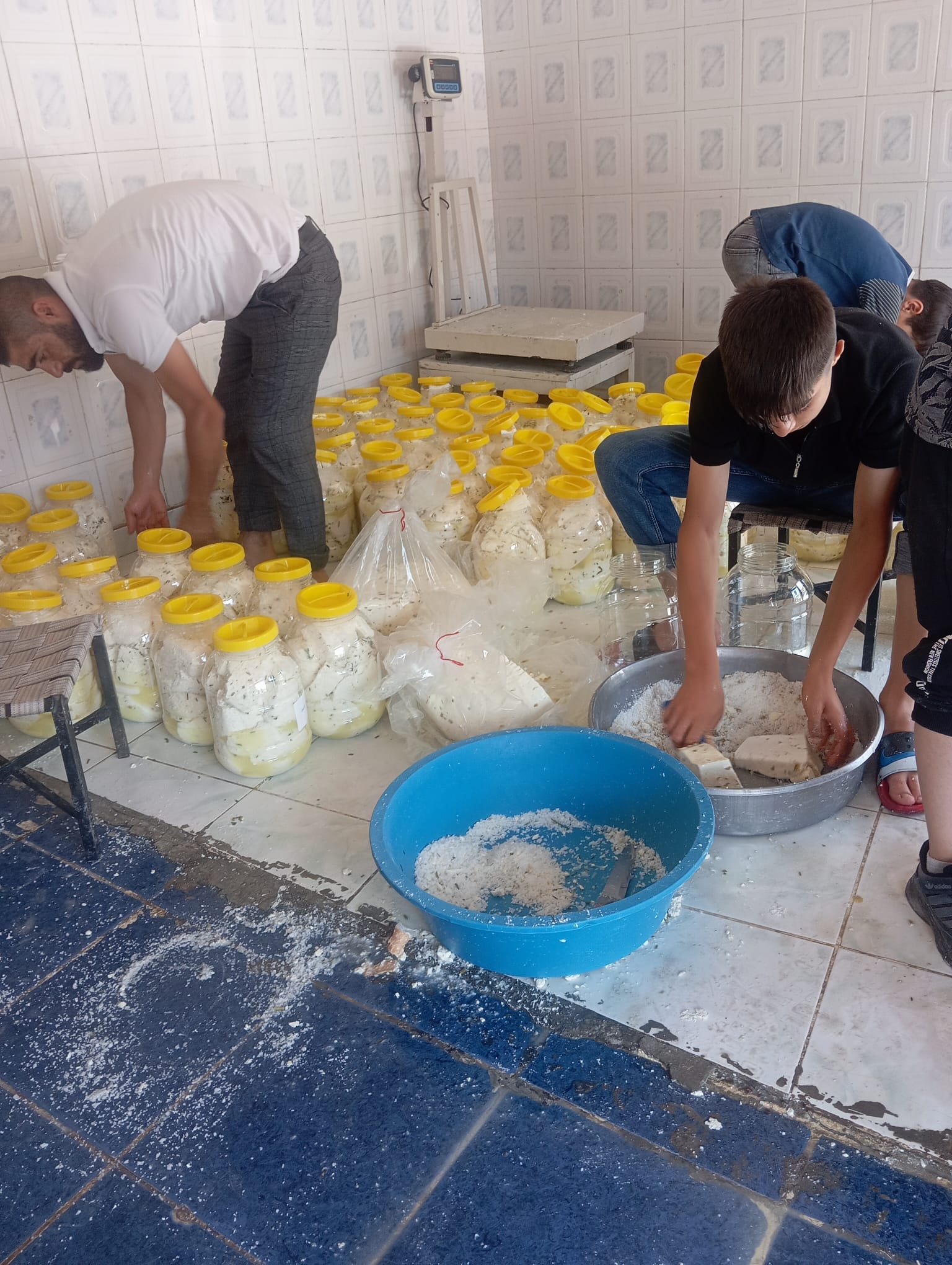 Bitlis Yerli Mahsulleri ve Miran Peynircilik